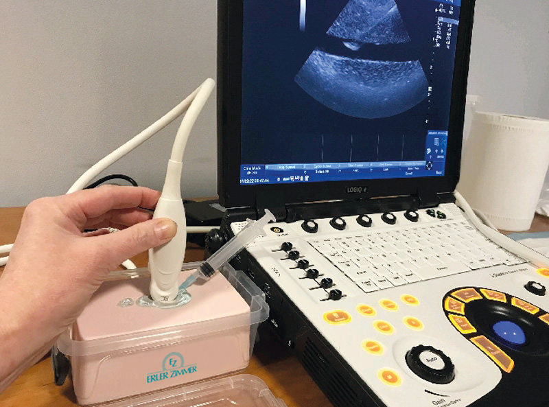 Weefselsimulator echo - injectie
