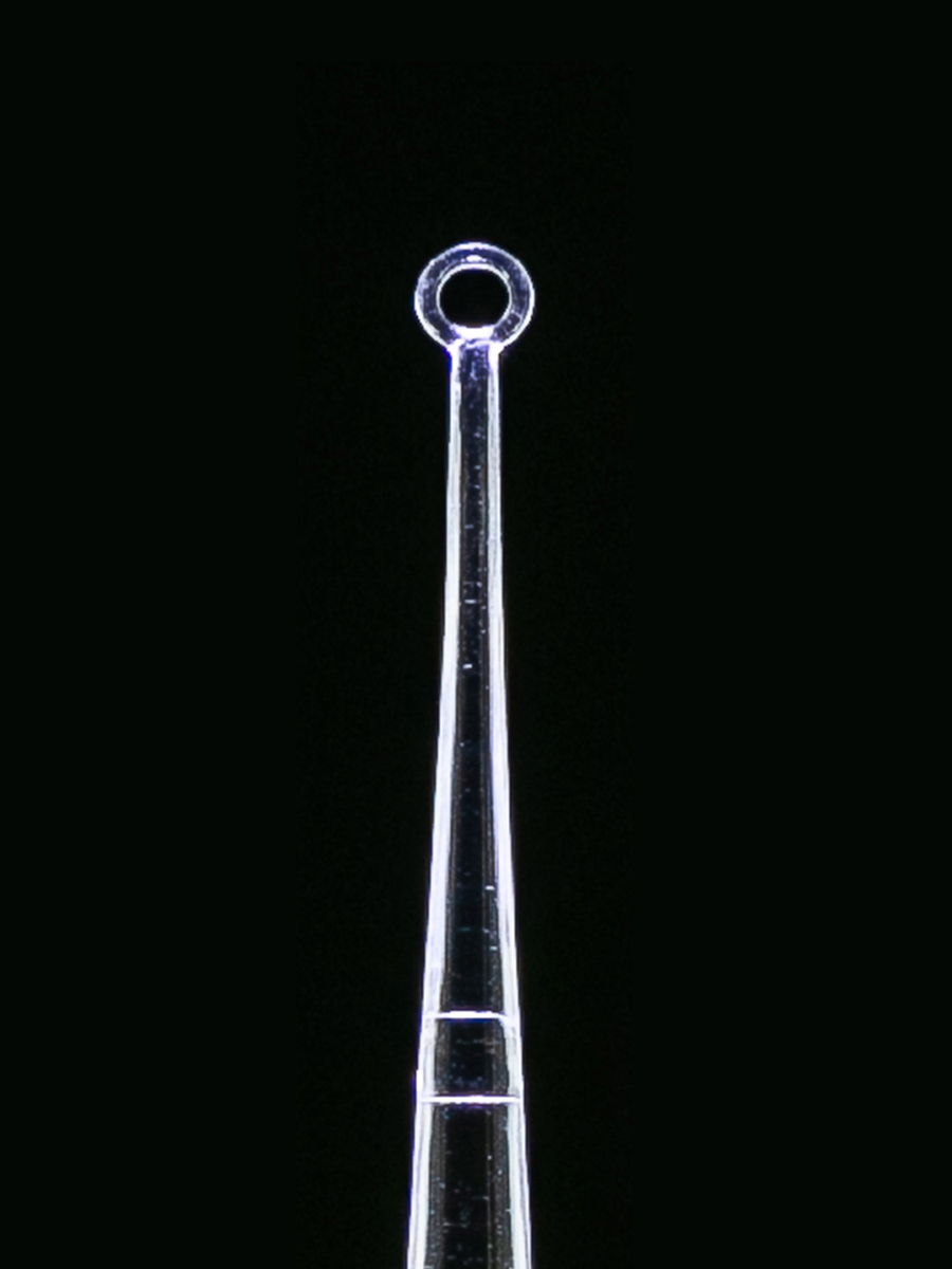 Bionix Clearlook curettes lumière AngleLoop (50 pcs)