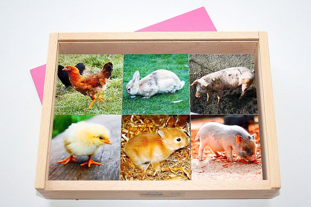 Associatie Memory - dieren moeder en jong - kleine versie