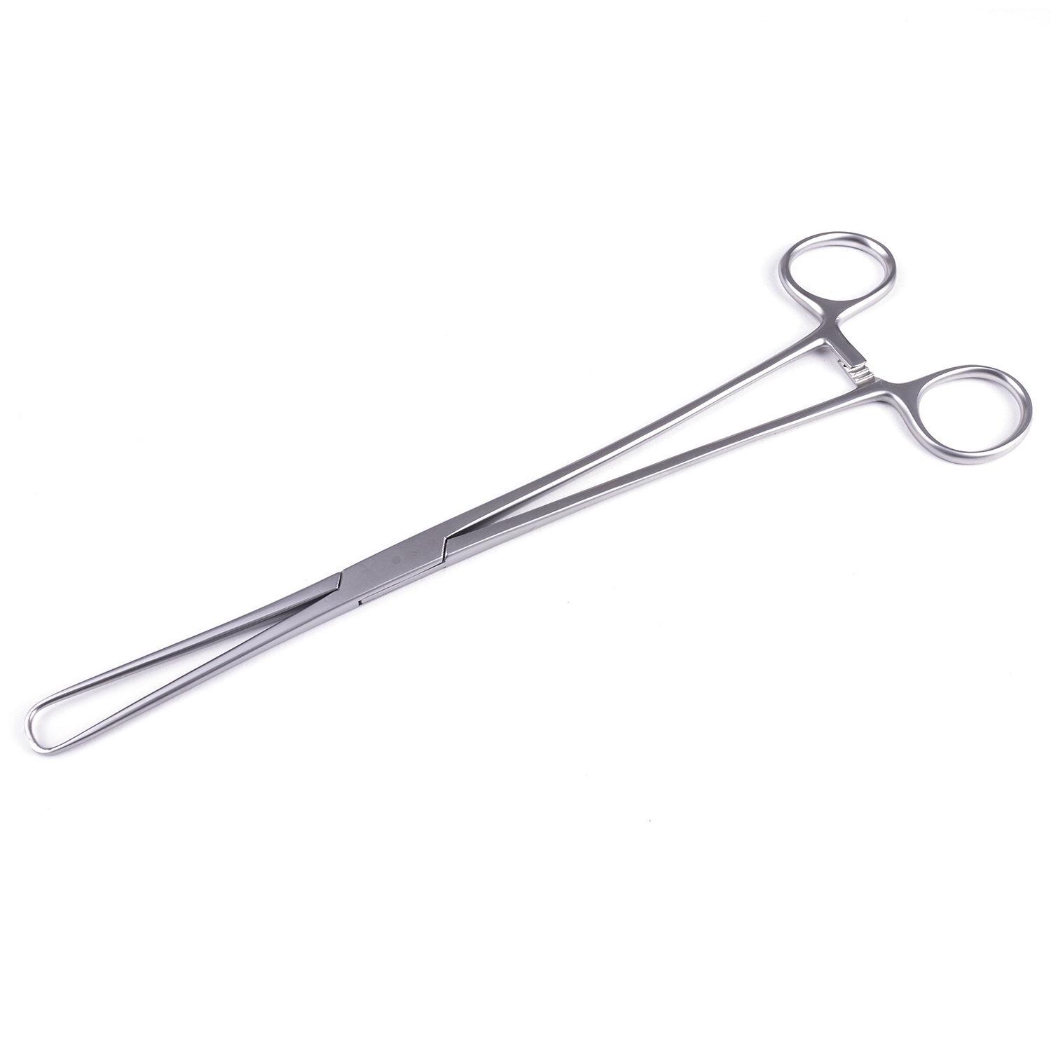 Haaktang Pozzi recht Duits - 25 cm