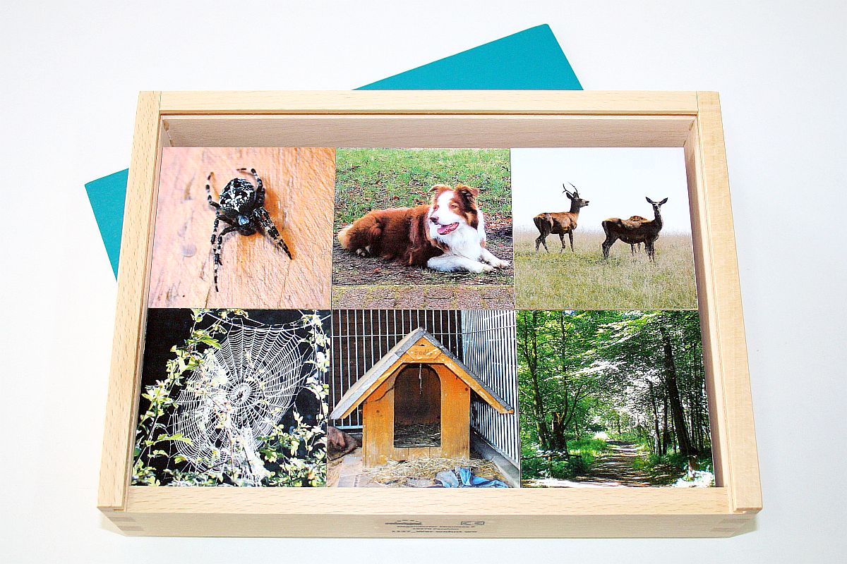 Associatie Memory - dieren - wie woont waar?